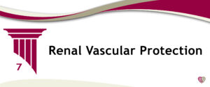 Renal Vascular Protection – November 15,2022